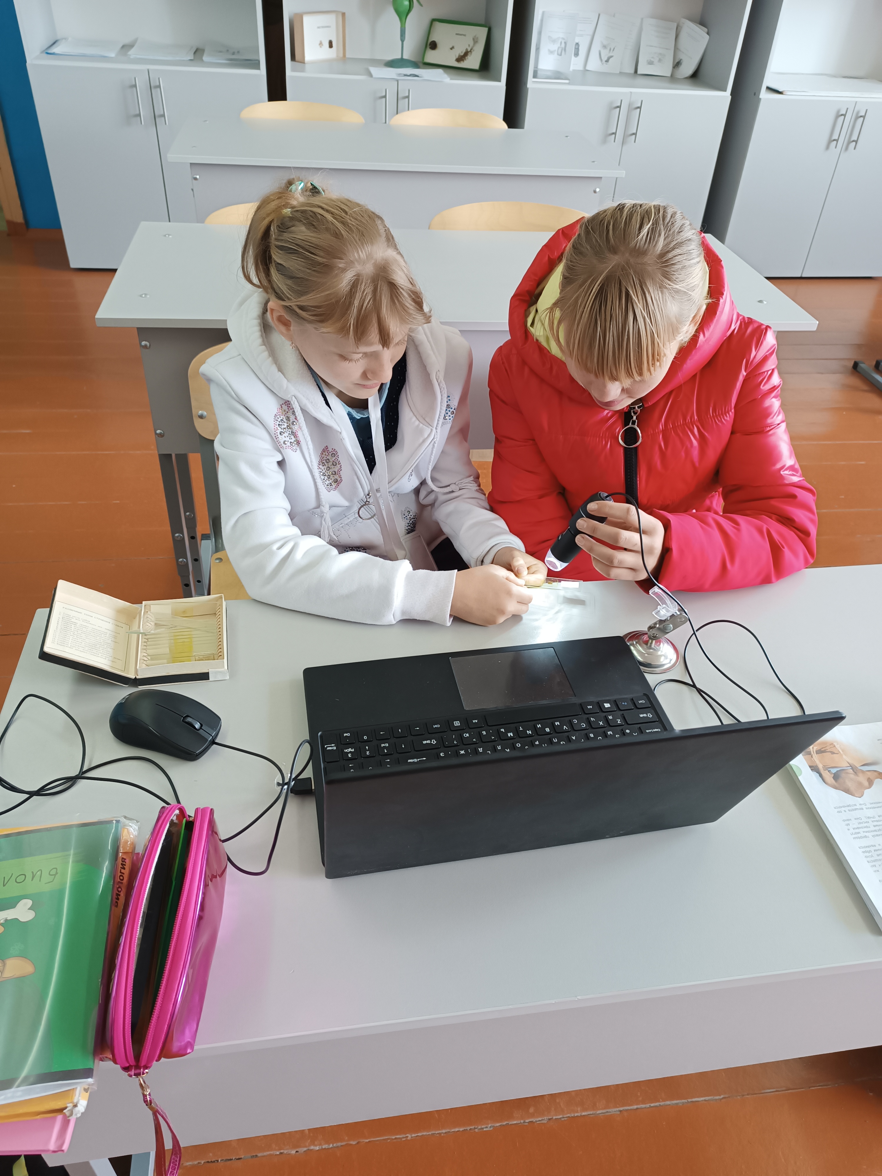 Мини-исследование «Микромир» Мини-исследование «Микромир».