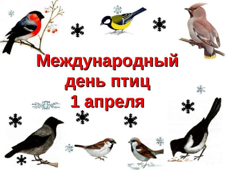 Международный День птиц.